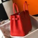 Hermès Birkin Bag 25 Red
