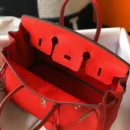 Hermès Birkin Bag 25 Red