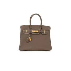 Hermès Birkin 25 Bag Gray
