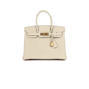 Hermès Birkin 25 Bag Milkshake White